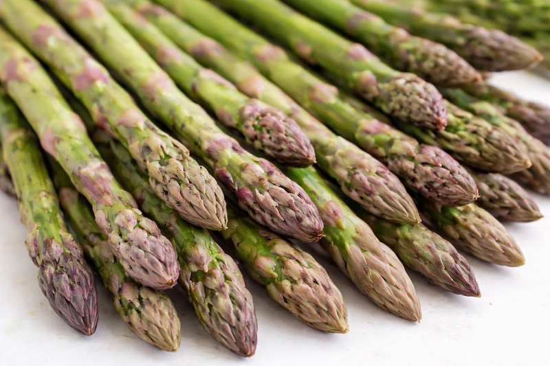 Asperge 'd’Argenteuil' (Asparagus officinalis)