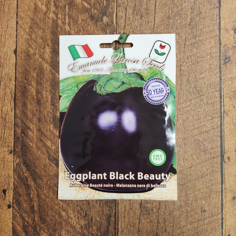 Aubergine 'Black Beauty' (Solanum melongena)