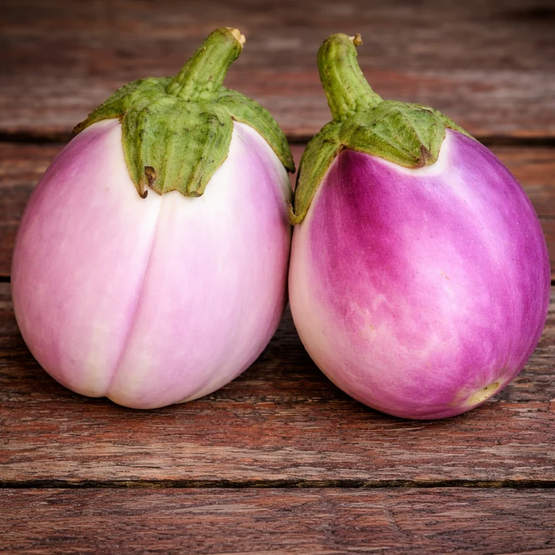 Aubergine 'Bianca Sfumata Di Rosa' (Solanum melongena)
