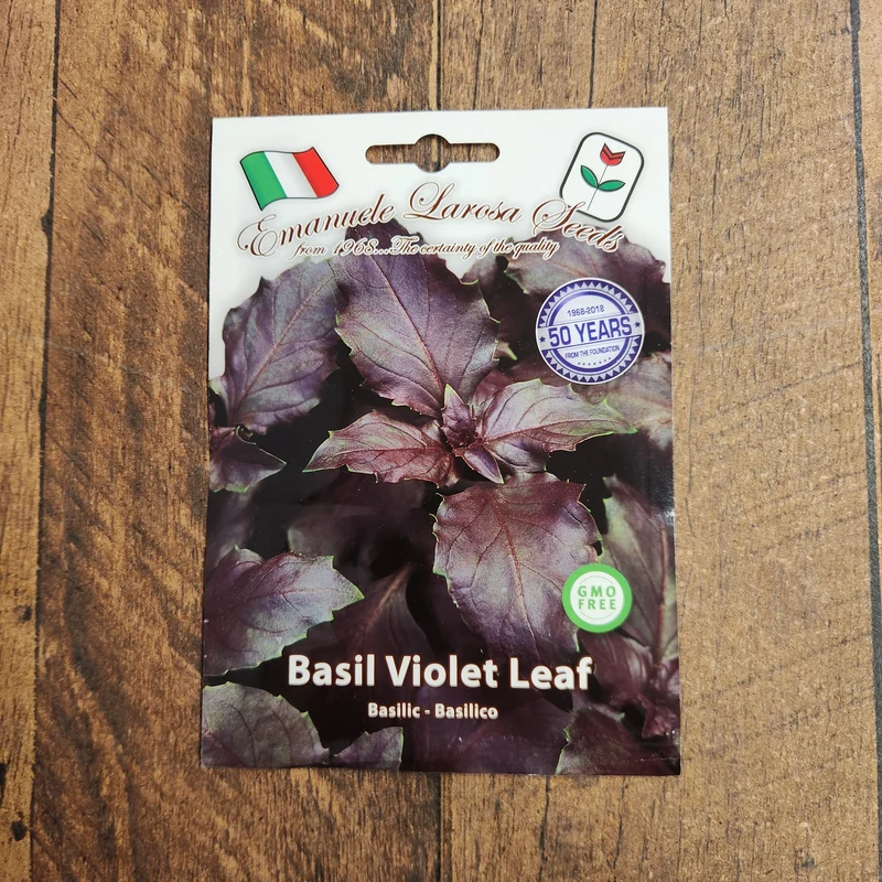 Basilic pourpre (Ocimum basilicum)