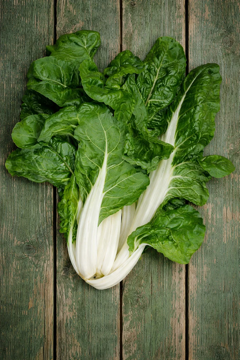 Bette à carde 'Bionda di Lione n°2' (Beta vulgaris)