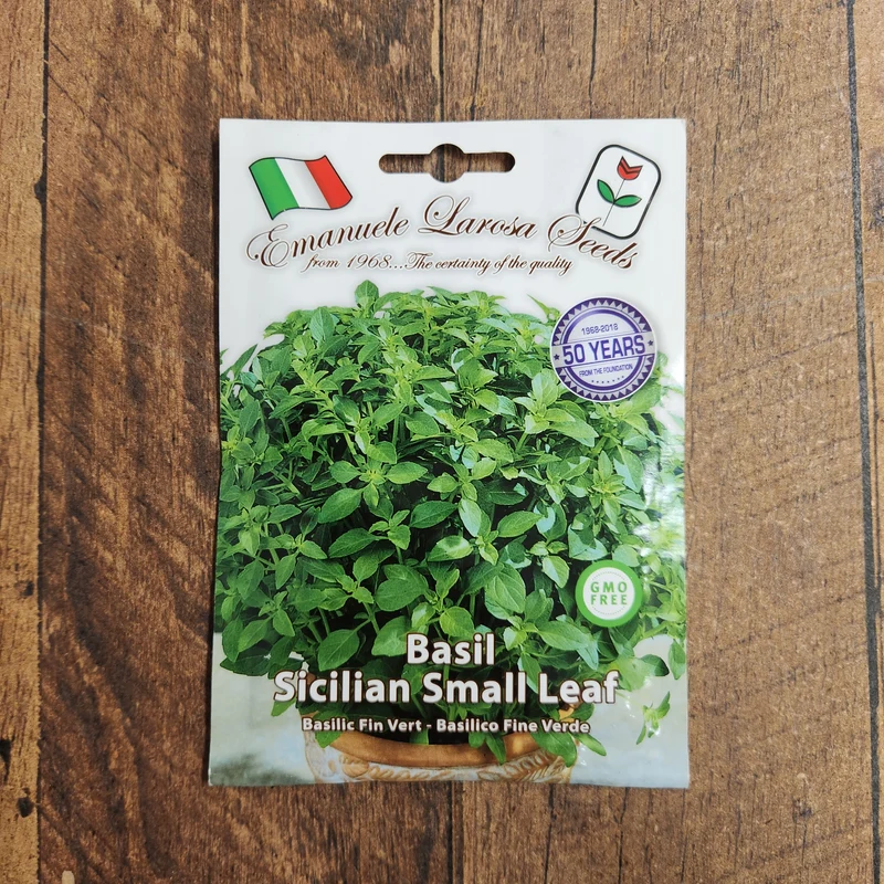 Basilic nain sicilien (Ocimum basilicum)