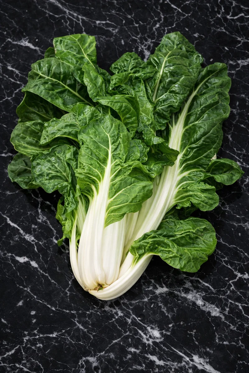 Bette à carde 'Costa barese' (Beta vulgaris)