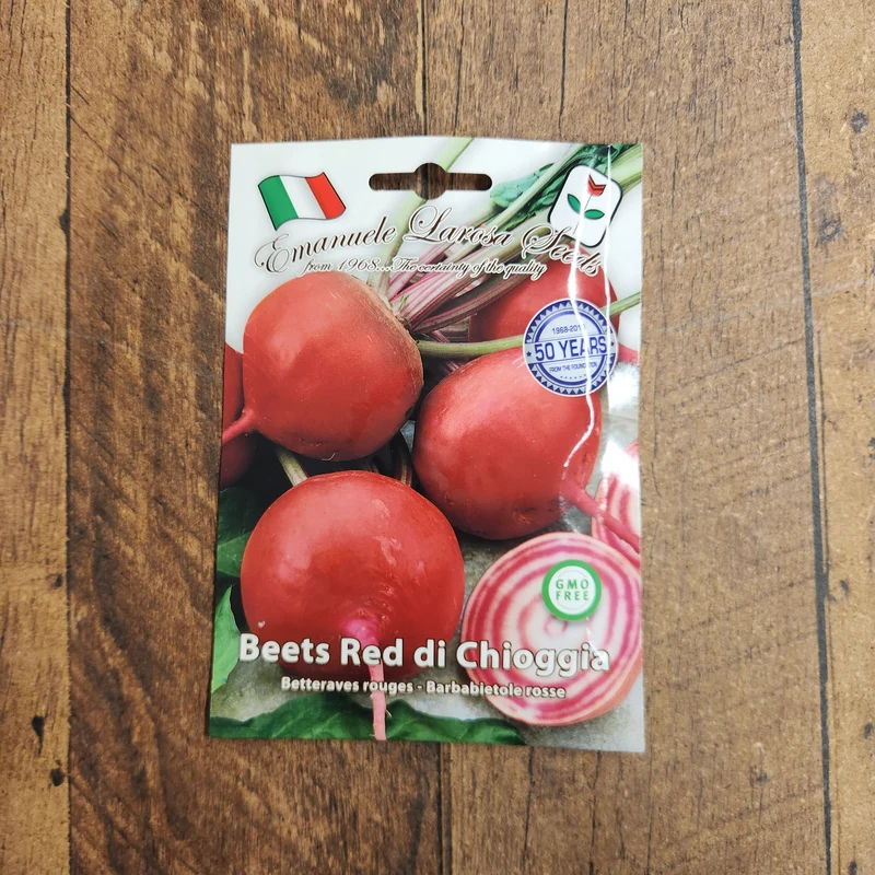Betterave 'Chioggia' (Beta vulgaris)
