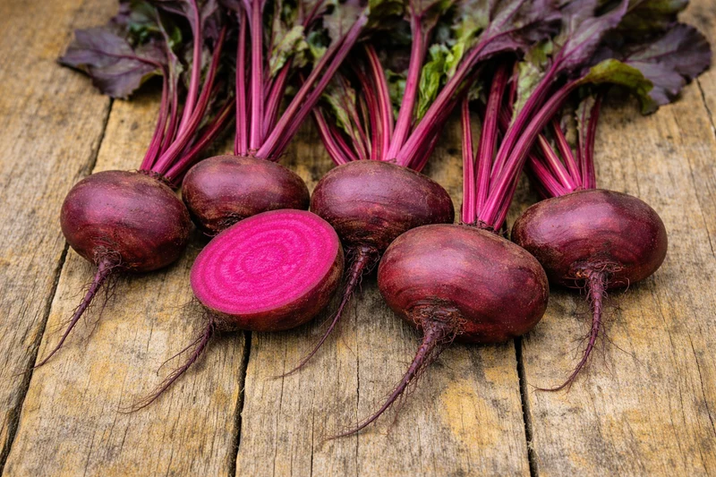 Betterave 'Poanazza d’Egitto' (Beta vulgaris)