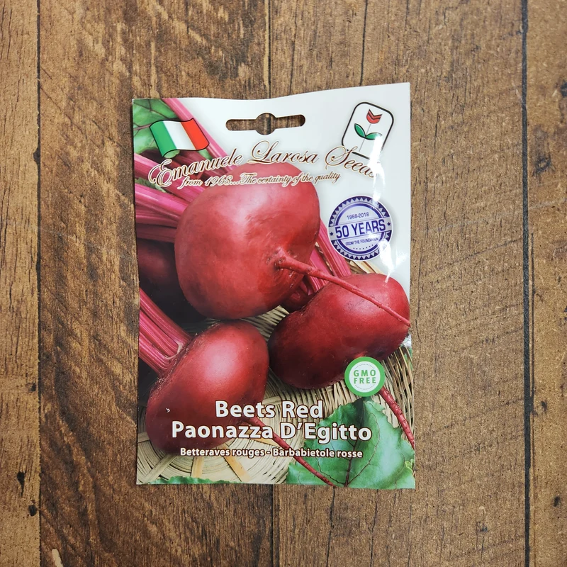 Betterave 'Poanazza d’Egitto' (Beta vulgaris)