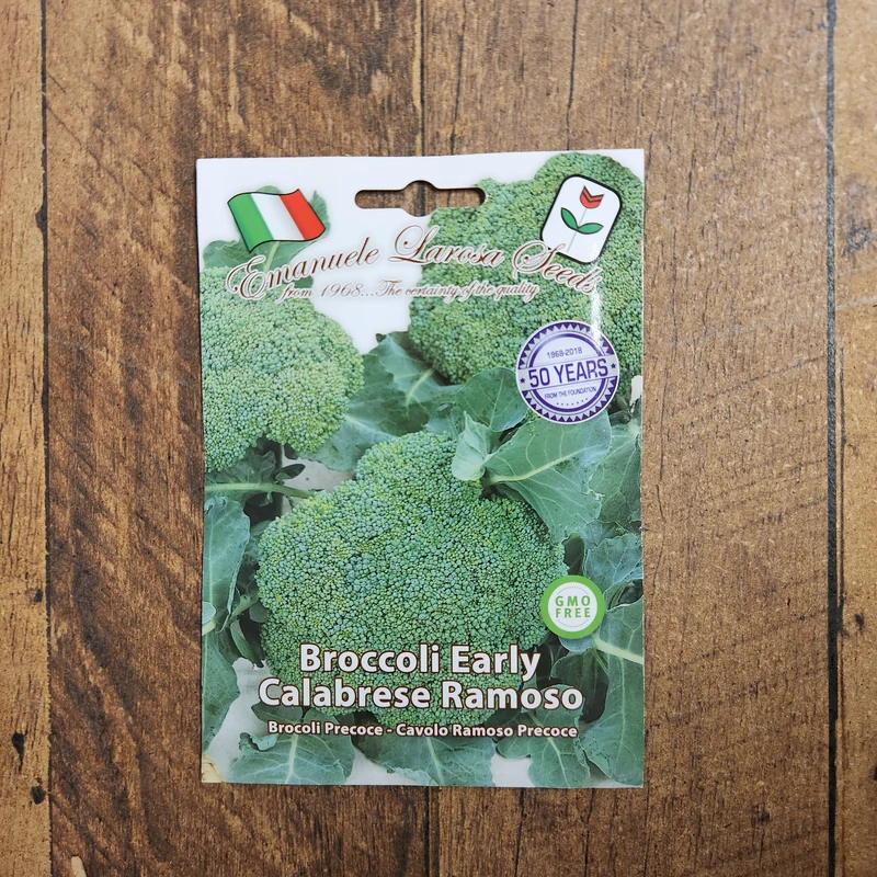 Brocoli 'Calabrese Precoce' (Brassica oleracea var. italica)