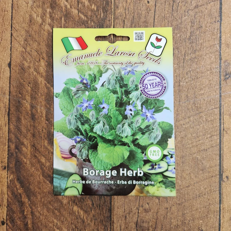 Bourrache (Borago officinalis)