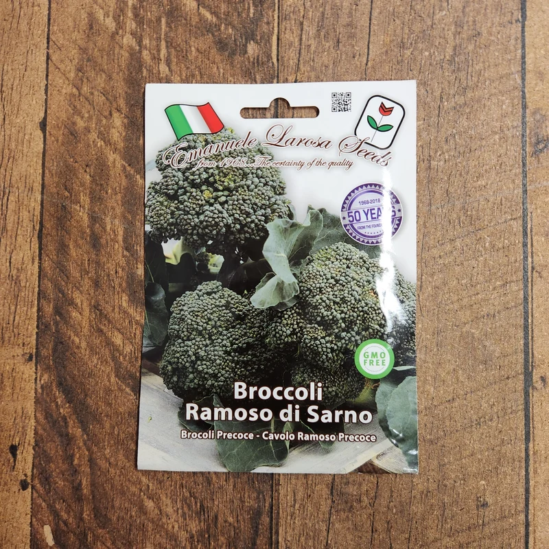 Brocoli 'Ramoso Riccio di Sarno' (Brassica oleracea)