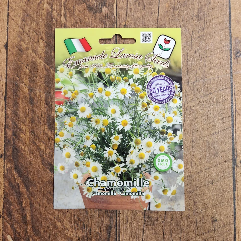 Camomille (Matricaria chamomilla)