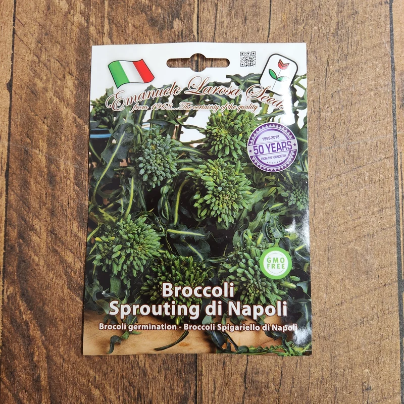 Brocoli-feuille 'Spigariello a Getti di Napoli' (Brassica oleracea)
