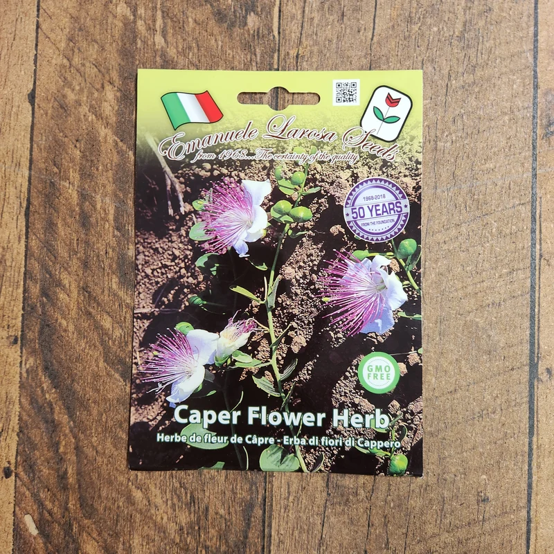 Câprier (Capparis spinosa)