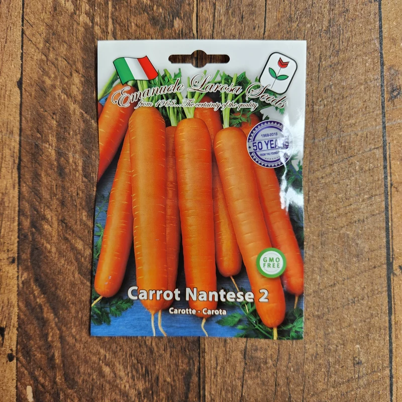 Carotte 'Nantes 2' (Daucus carota subsp. sativus)