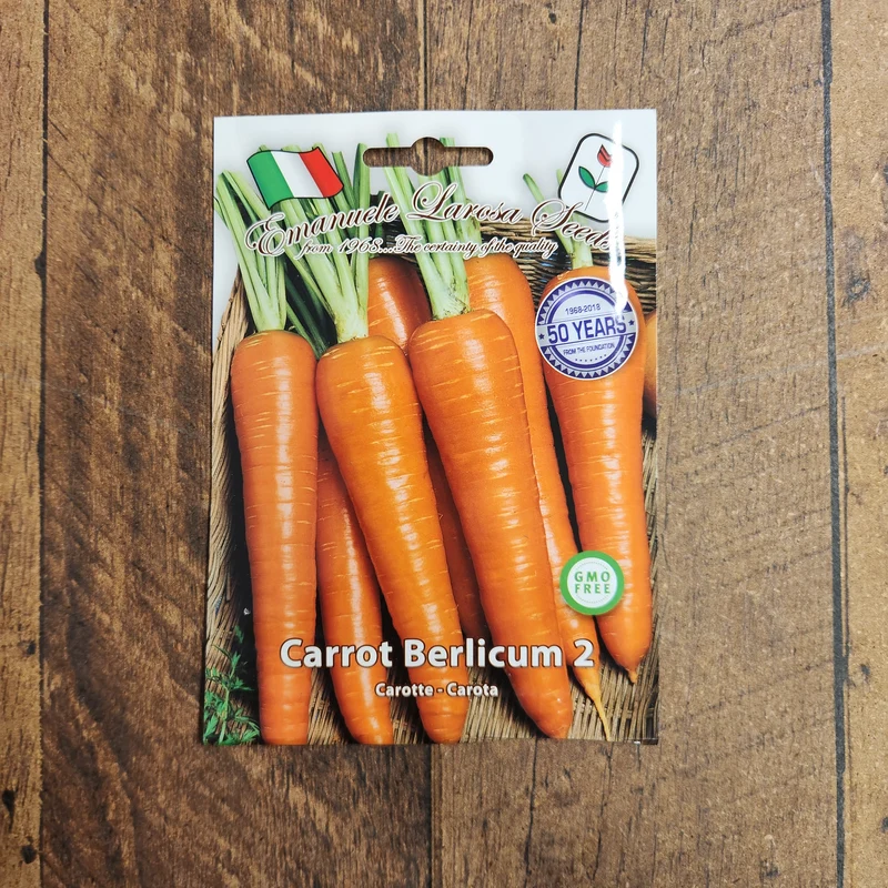 Carotte 'Berlicum' (Daucus carota subsp. sativus)