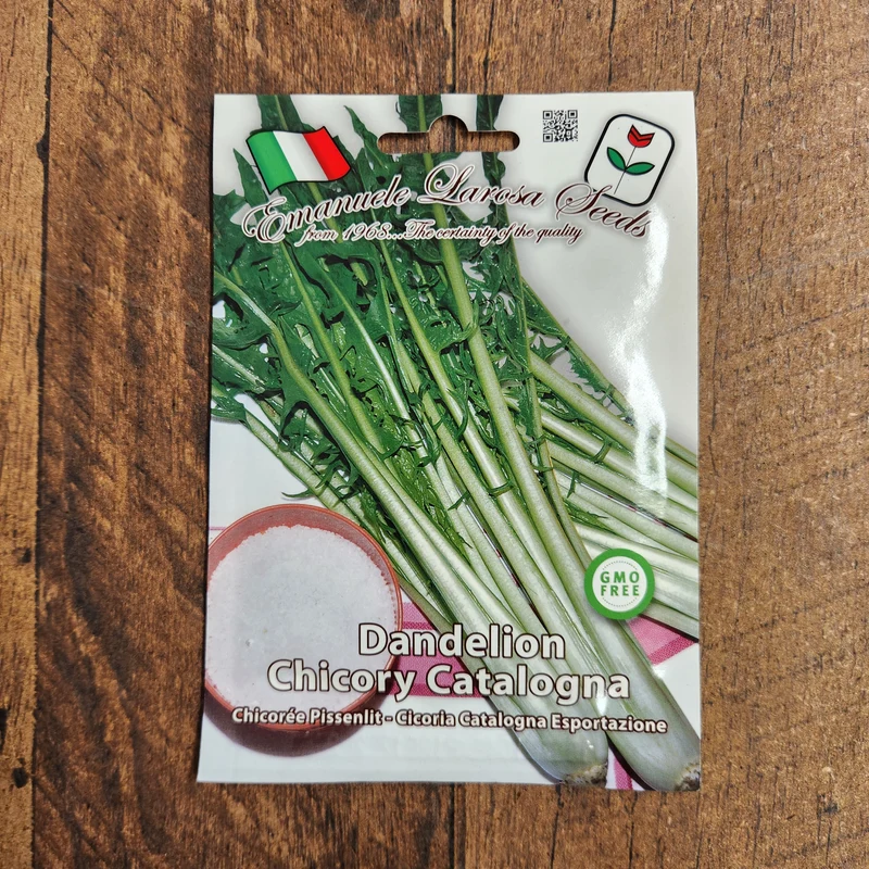 Chicorée-feuille 'Catalogna Frastagliate Esportazione' (Cichorium intybus)