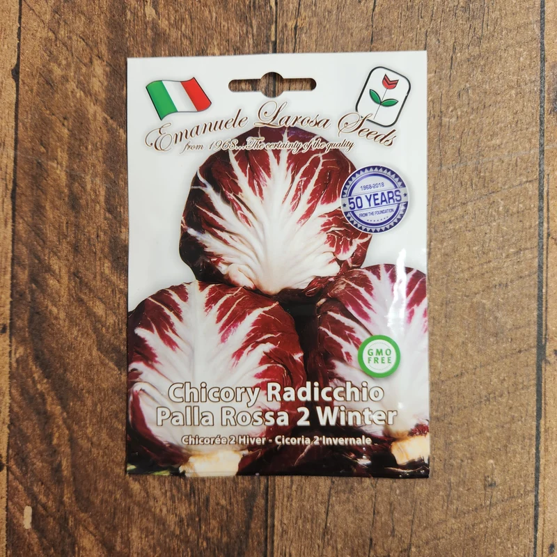 Radicchio hiver 'Palla Rossa 2 Winter' (Cichorium intybus)