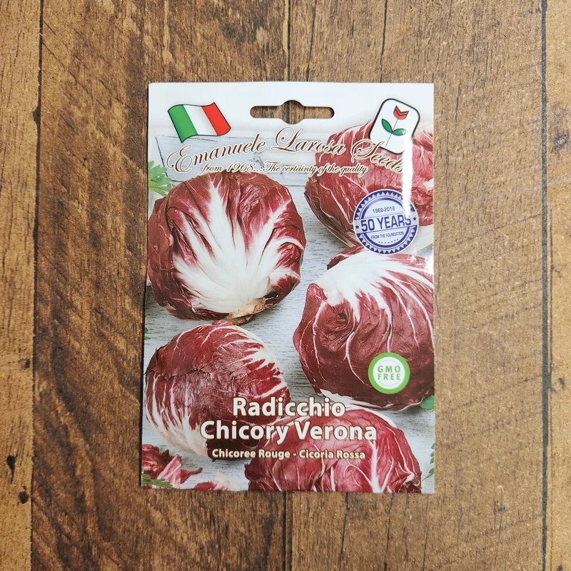 Radicchio 'Rossa di Verona' (Cichorium intybus)
