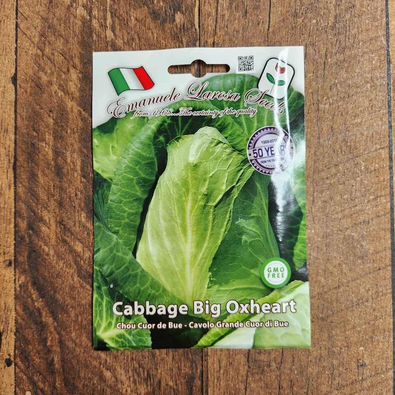 Chou cabus pointu 'Cuor di Bue' (Brassica oleracea)