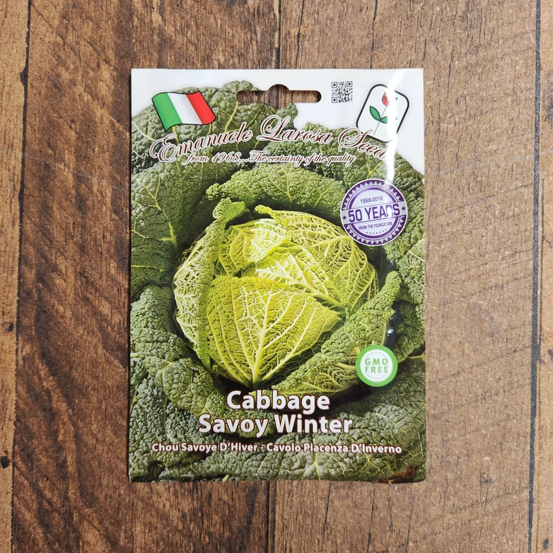 Chou de Savoie 'Di Piacenza' (Brassica oleracea var. sabauda)