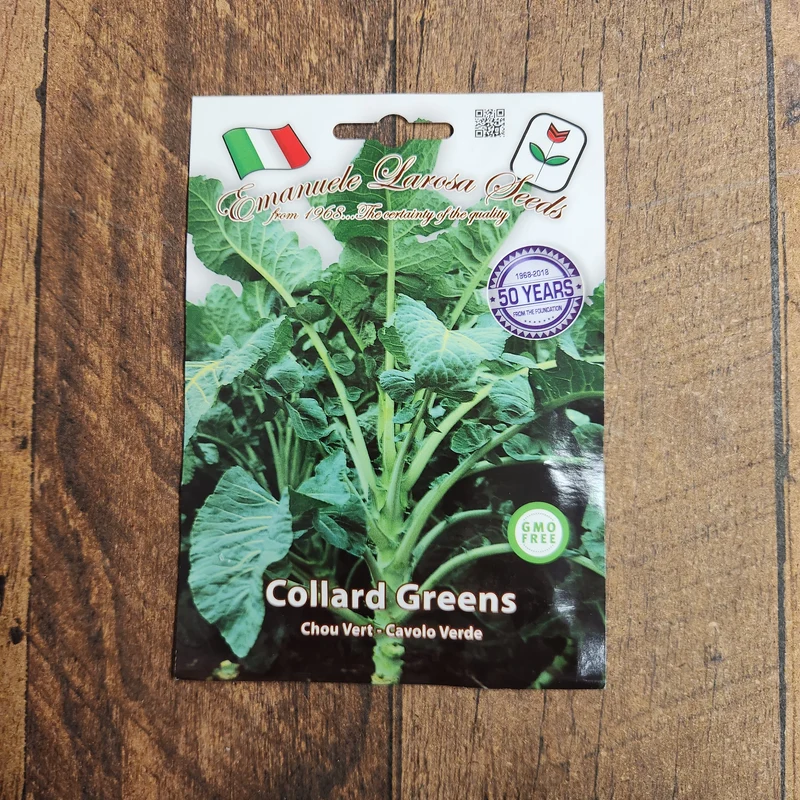 Chou cavalier 'Broccolo Friulano' (Brassica oleracea var. acephala)