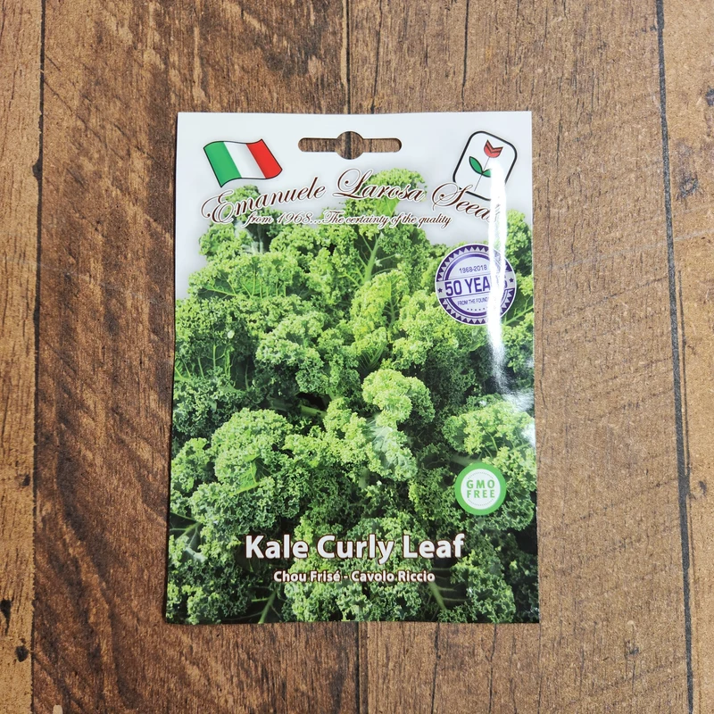 Chou frisé nain (Brassica oleracea var. acephala)