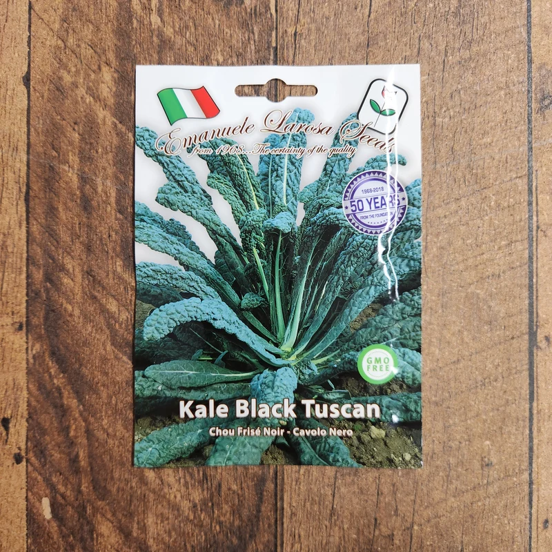 Chou frisé toscan 'Lacinato' (Brassica oleracea var. acephala)