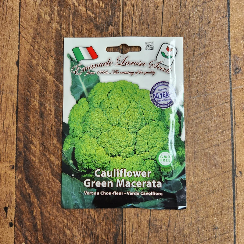 Chou-fleur vert 'Macerata' (Brassica oleracea var. botrytis)