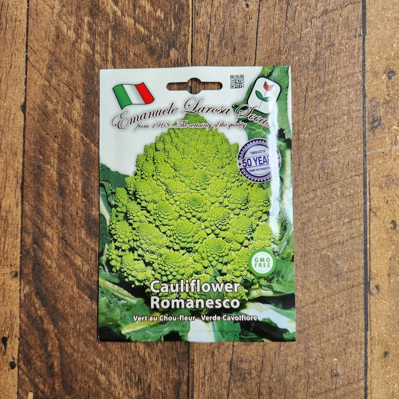 Chou-fleur Romanesco (Brassica oleracea var. botrytis)