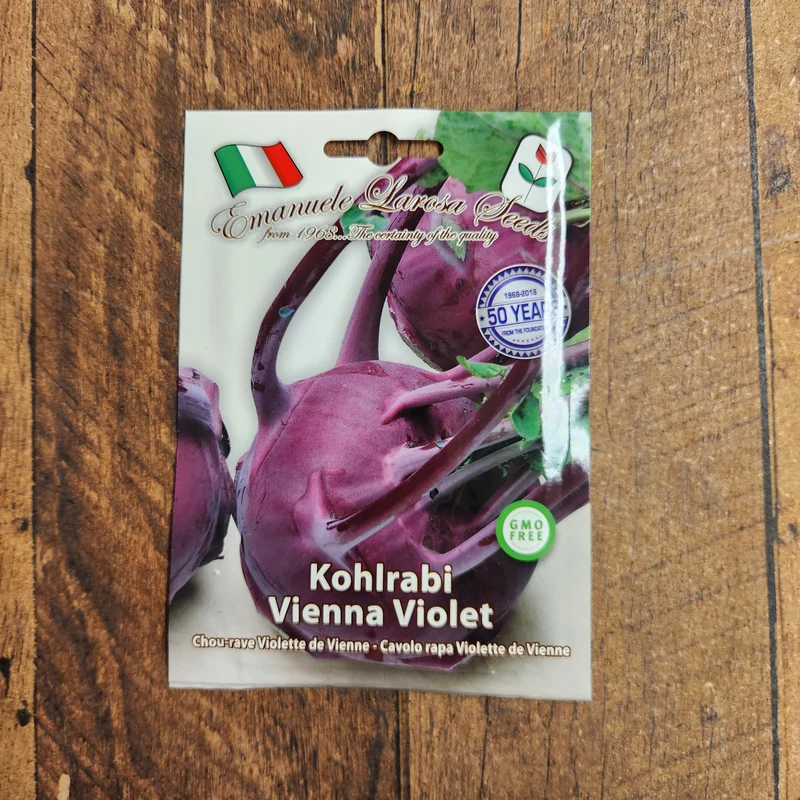 Chou-rave violet 'Vienna Violet' (Brassica oleracea var. gongylodes)