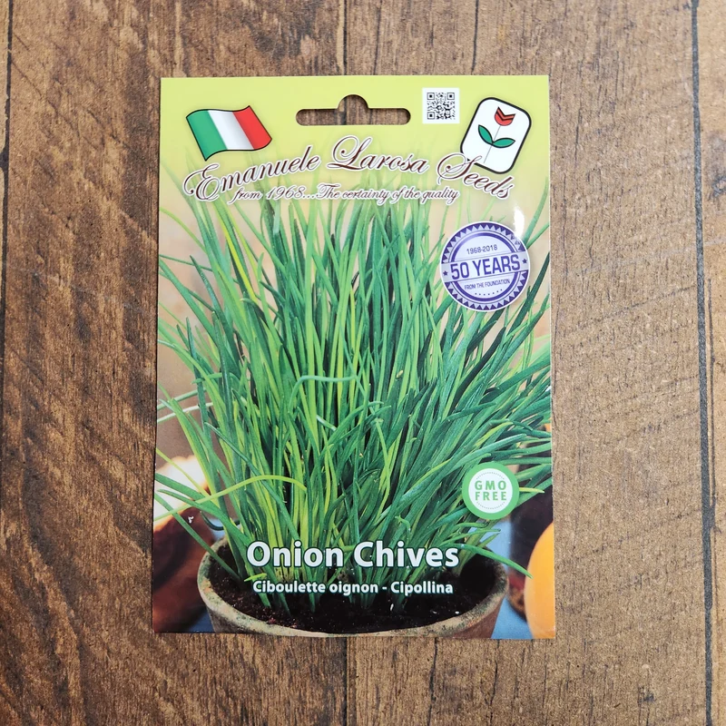 Ciboulette (Allium schoenoprasum)