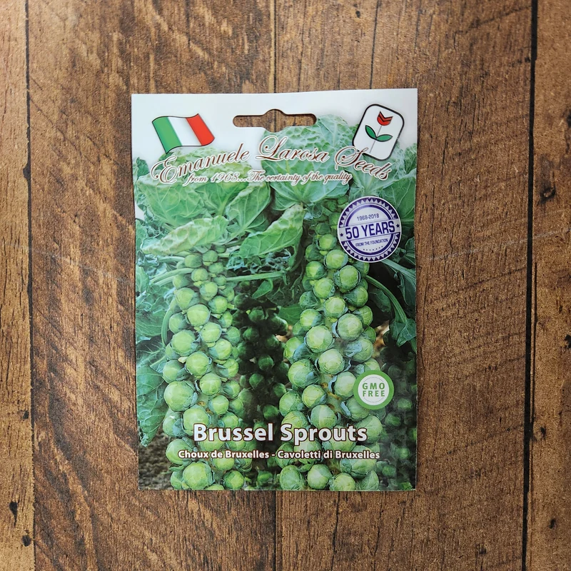 Chou de Bruxelles 'Di Bruxelles' (Brassica oleracea var. gemmifera)