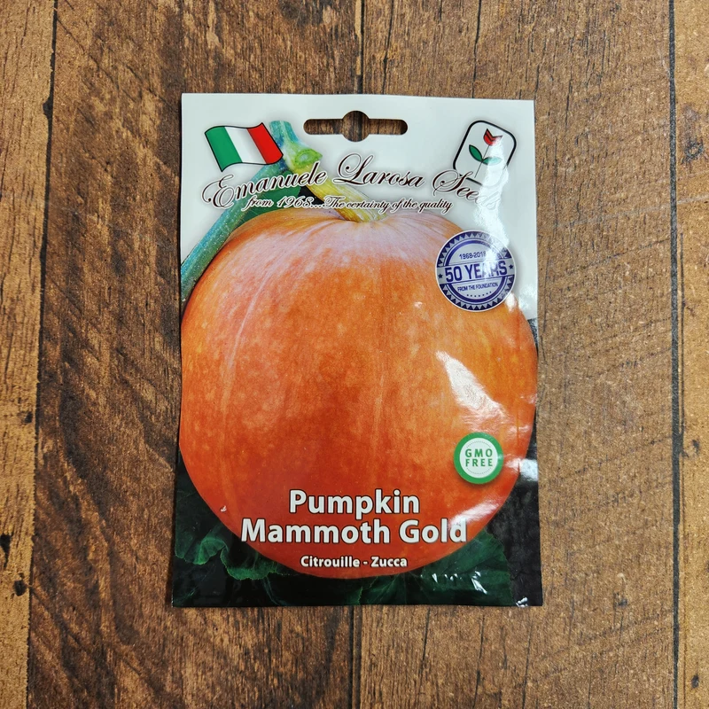 Citrouille 'Mammoth Gold' (Cucurbita maxima)