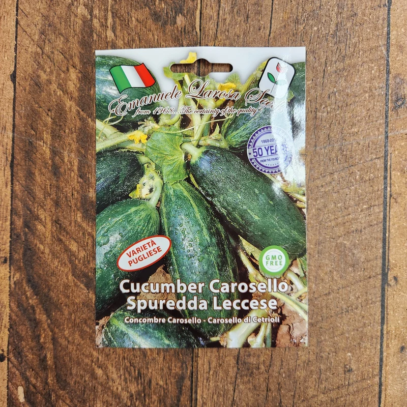 Concombre 'Carosello Spuredda Leccese' (Cucumis melo)