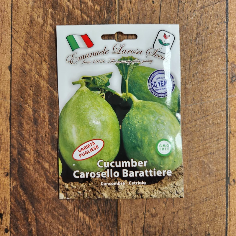 Concombre 'Carosello Barattiere' (Cucumis melo)