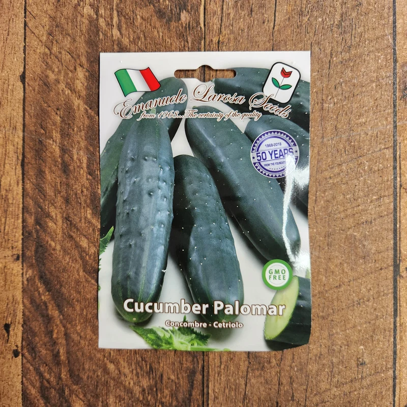 Concombre 'V Palomar' (Cucumis sativus)