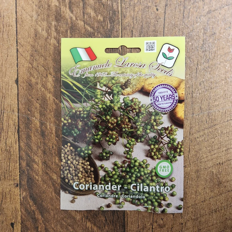 Coriandre (Coriandrum sativum)
