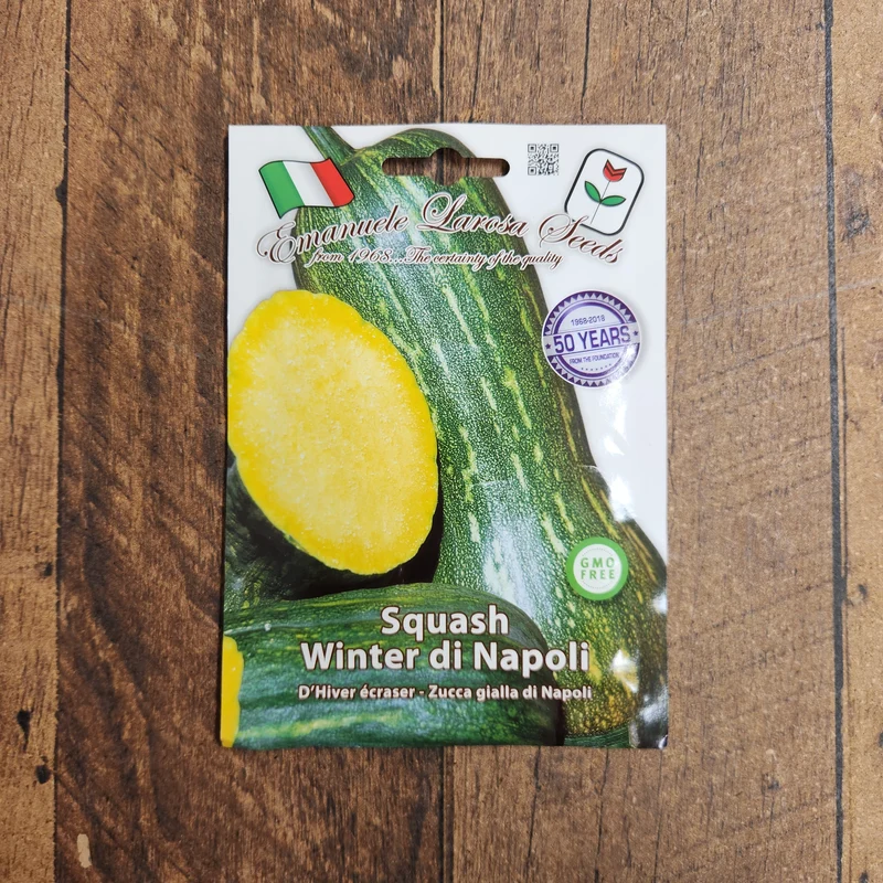 Courge 'Gialla di Napoli' (Cucurbita moschata)
