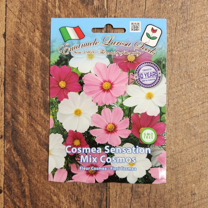 Mélange de cosmos (Cosmos bipinnatus)