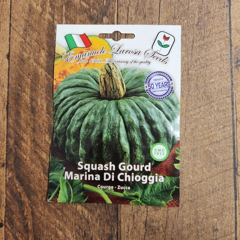 Courge 'Marina di Chioggia' (Cucurbita maxima)