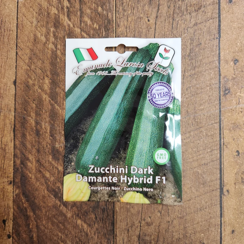 Courgette hybride 'Diamante Nero F1' (Cucurbita pepo)