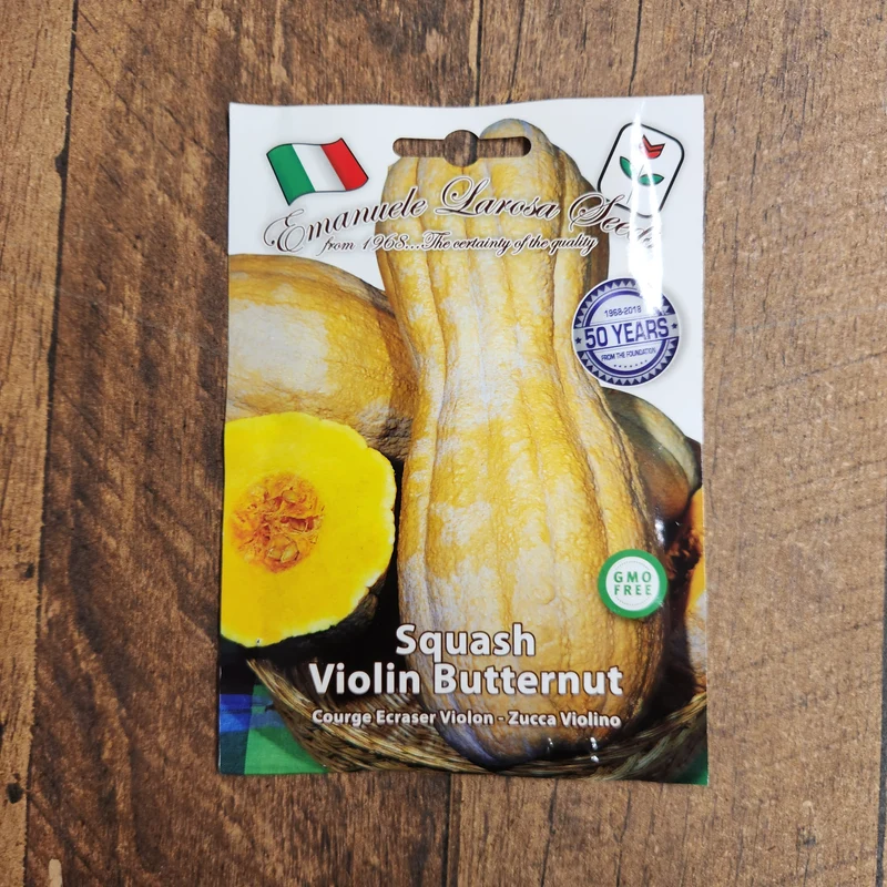 Courge musquée 'Violin' (Cucurbita moschata)