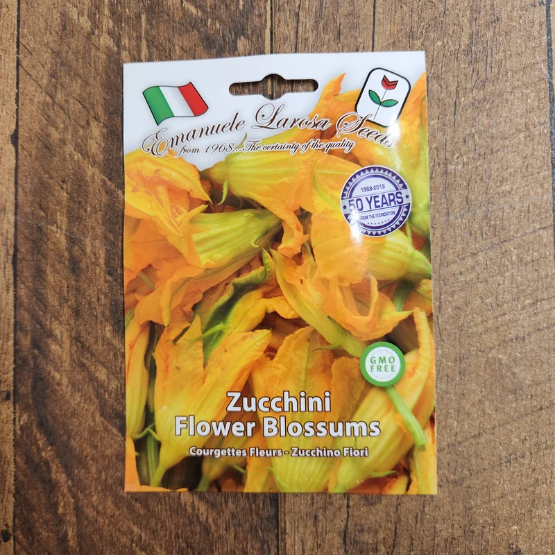 Courgette à fleurs (Cucurbita pepo)