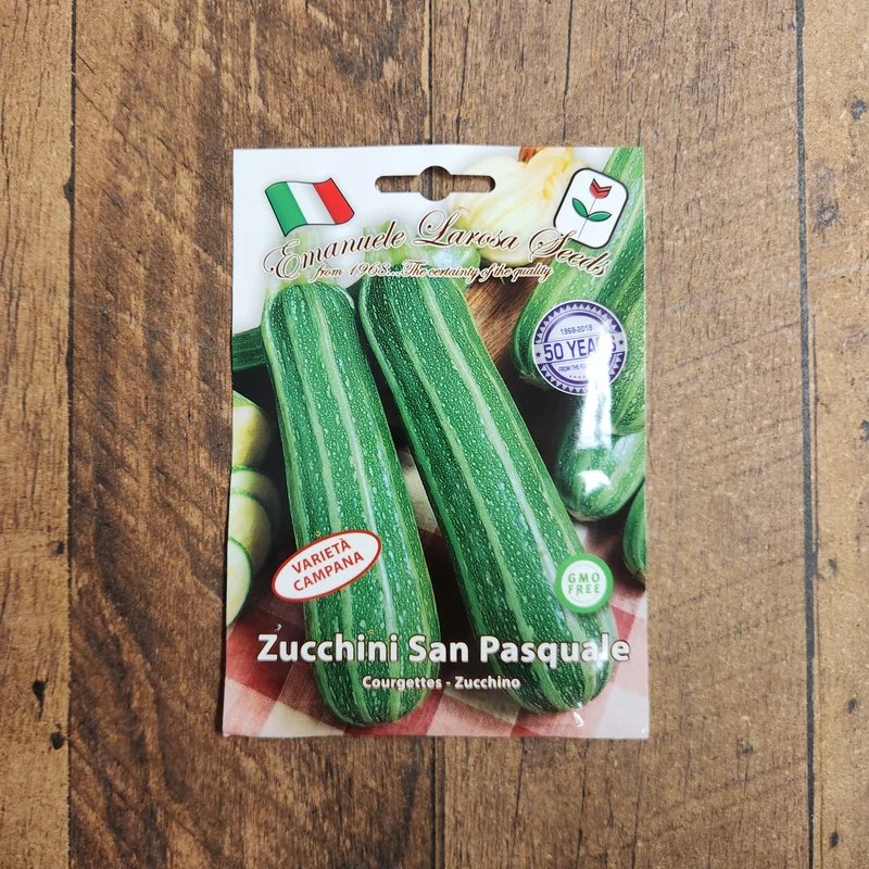 Zucchini 'San Pasquale' (Cucurbita pepo)