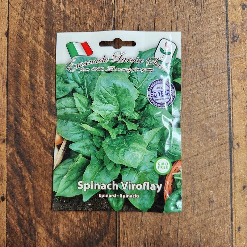 Épinard 'Géant de Viroflay' (Spinacia oleracea)