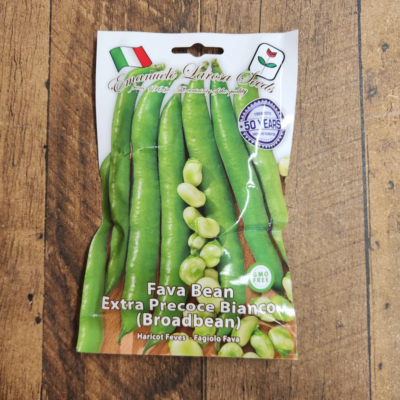 Fève des marais 'Extra Precoce Bianco' (Vicia faba)
