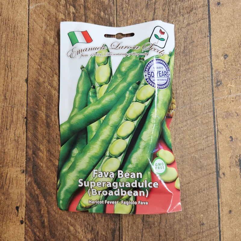 Fève des marais 'Super Aguadulce' (Vicia faba)