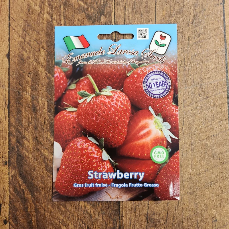 Fraisier alpin rouge (Fragaria vesca)