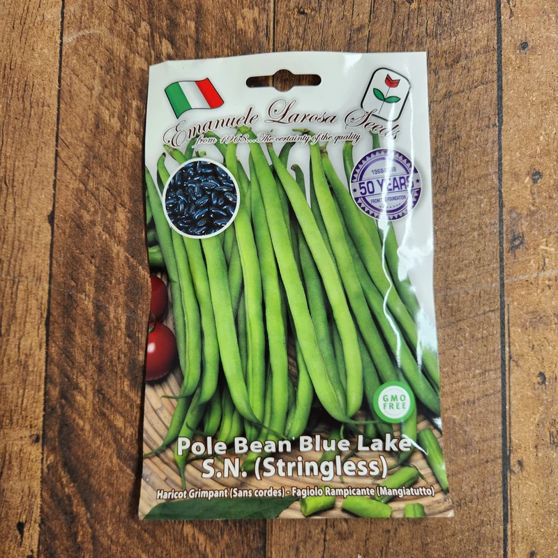 Haricot grimpant 'Blue Lake S.N' (Phaseolus vulgaris)