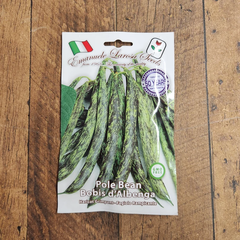 Haricot grimpant 'Bobis D’Albenga' (Phaseolus vulgaris)