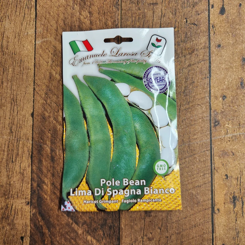 Haricot grimpant 'Lima Di Spagna Bianco' (Phaseolus spp.)